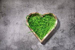 Bioekonomika: daugiausia ambicijų turi žemės ūkio sektorius