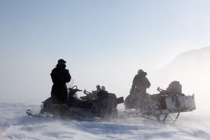 Žemės sveikatos barometras: kodėl tiesiog būtina saugoti Arktį?
