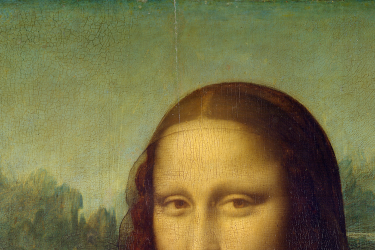  Įtrūkimas „Mona Lisa“ viršuje.<br> Wikimedia commons