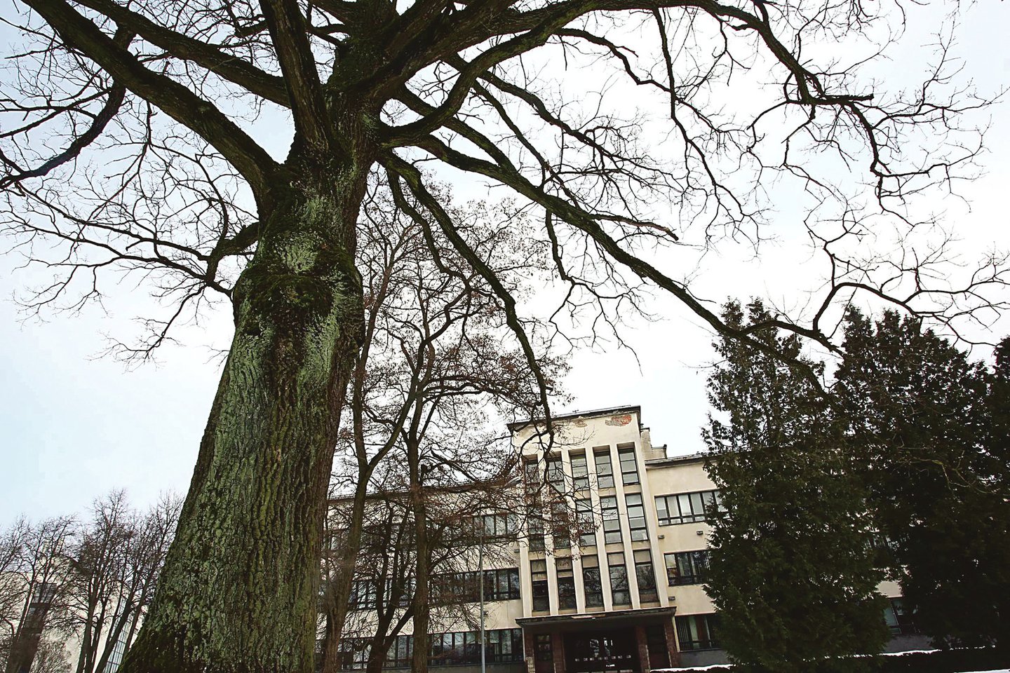 KTU Cheminės technologijos fakulteto pastatas nepakito nuo 1935 metų. <br>M.Patašiaus nuotr.