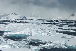 Estija dviejų eurų monetoje įamžino Antarktidos atradimą