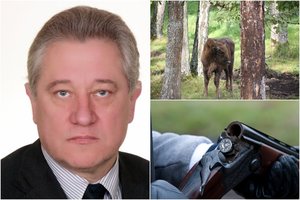 Stumbrę nušovusiam valstiečiui gresia 36 tūkst. eurų bauda – nuslėpė svarbų faktą