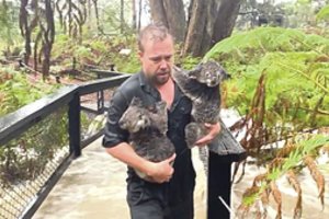 Australijoje po gaisrų pragaro – audrų sukeltas tvanas