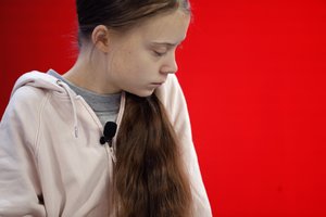 G. Thunberg Davose pareiškė, kad „nieko nebuvo padaryta“ dėl kovos su klimato kaita