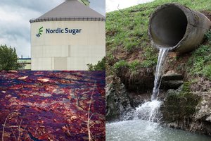 Pareigūnai: iš cukraus fabriko Kėdainiuose – nelegalus srutų vamzdis į upelį