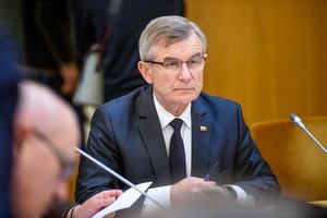 Liudijęs V. Pranckietis apie skirtumą tarp M. Basčio ir I. Rozovos: grėsmės buvo nesulyginamos