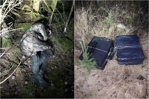 Cigarečių nešiką sulaikyti padėjo vokiečių aviganis Varis