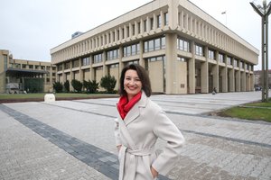 D. Henke: reikėtų panaudoti svetur gyvenančios lietuvių diasporos potencialą šalies raidai