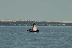 Po „Grigeo Klaipėda“ taršos skandalo skelbia Kuršių marių vandens tyrimus