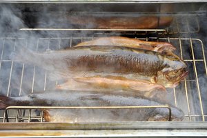 Mažoms žuvies rūkykloms meta gelbėjimosi ratą