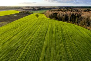 Žmonės to dar nematė: Lietuvoje fiksuojami neįtikėtini reiškiniai