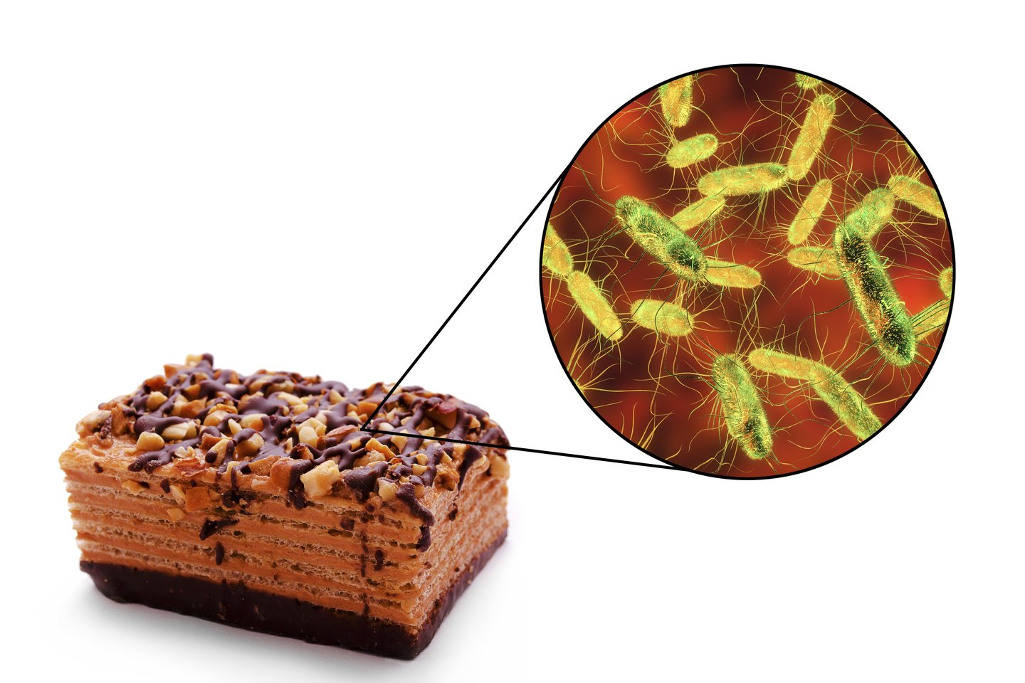 Įtakos bakterijų kiekiui turi ir paviršius, ant kurio nukrenta maistas.<br>123rf nuotr.