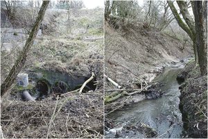 Kauniečiai skambina pavojaus varpais: upeliai dvokia, o teršėjų sučiupti nepavyksta metų metus