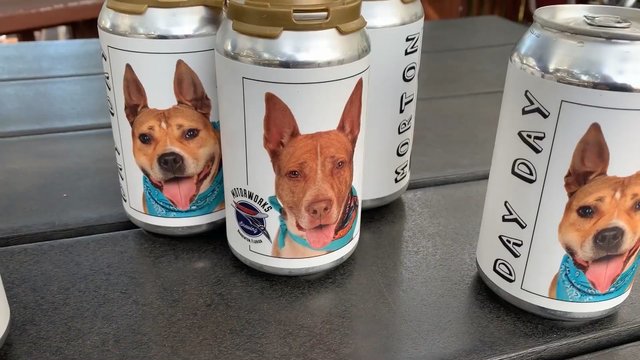 Vardan kilnaus tikslo alaus darykla skardines puošia šunų nuotraukomis