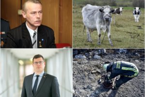 Į dienos šviesą traukia Alytaus gaisro tyrimo detales: „Sveikiname karves, kurios liko gyvos“