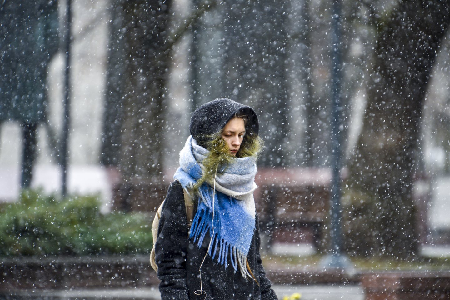 Žiemos apraiškos Vilniuje.
