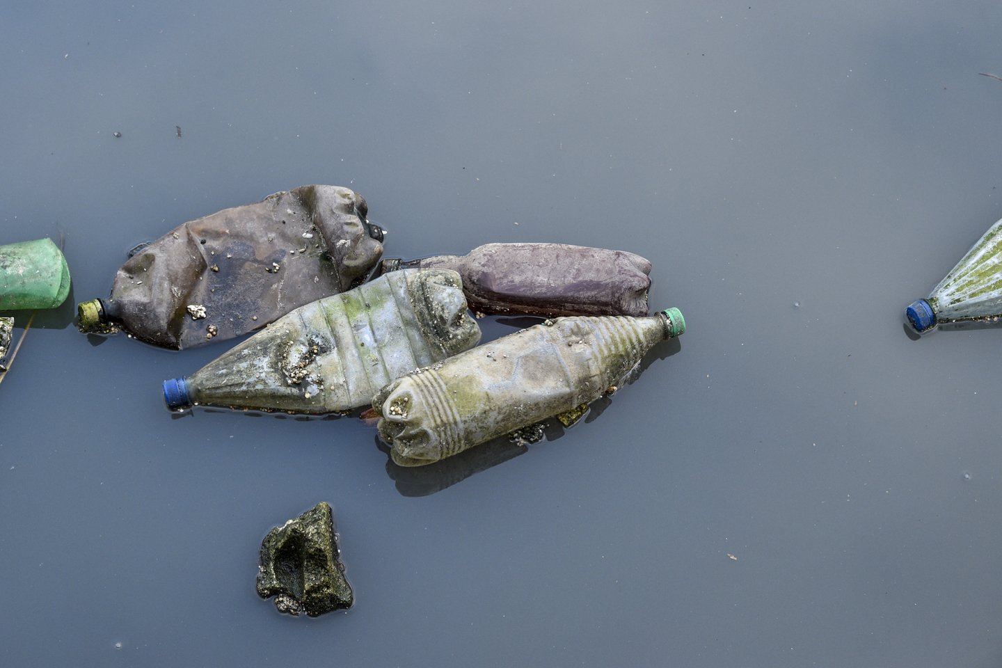 Aplinkosaugos problemos dėmesio sulaukė po išaiškėjusios taršos Kuršių mariose ir padangų gaisro Alytuje. Pastaruoju metu paviešintas ir plastiko patekimo į Nerį atvejis Vilniuje.<br>V.Ščiavinsko nuotr.