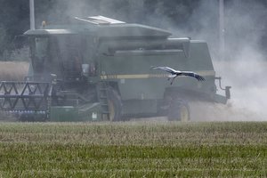 A. Palionis: ūkininkams turi būti deramai atlyginama