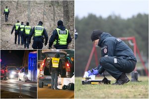 Lietuvą sukrėtusi žinia apie galimą vaiko pagrobimą atvėrė saugumo spragas