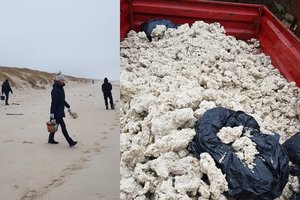 Kuršių nerijoje – precedento neturintis atvejis: tokių kiekių parafino nėra buvę