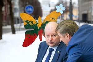 Atskleidė kitą dėl pavadinimo ir simbolio kilusios audros pusę: vieno tikrai turi saugotis