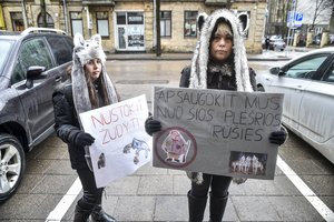 Daugiau vilkų sumedžioti užsimoję parlamentarai sulaukė protesto Vilniaus centre