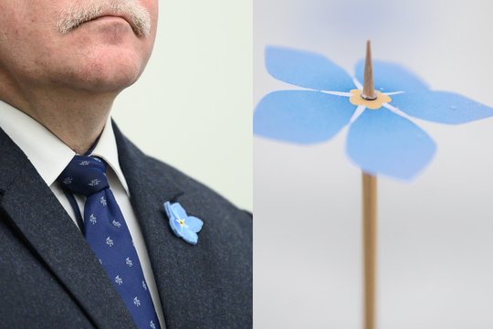 Kodėl konservatoriams pavyko užregistruoti „Neužmirštuolę“, o S.Skverneliui „Tėvynės labui“ – ne?