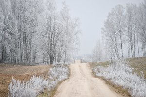 Klimatologas: į Lietuvą plūs šiemet neregėtas šaltis