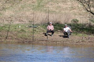 Įsigalioja draudimas žvejoti lydekas