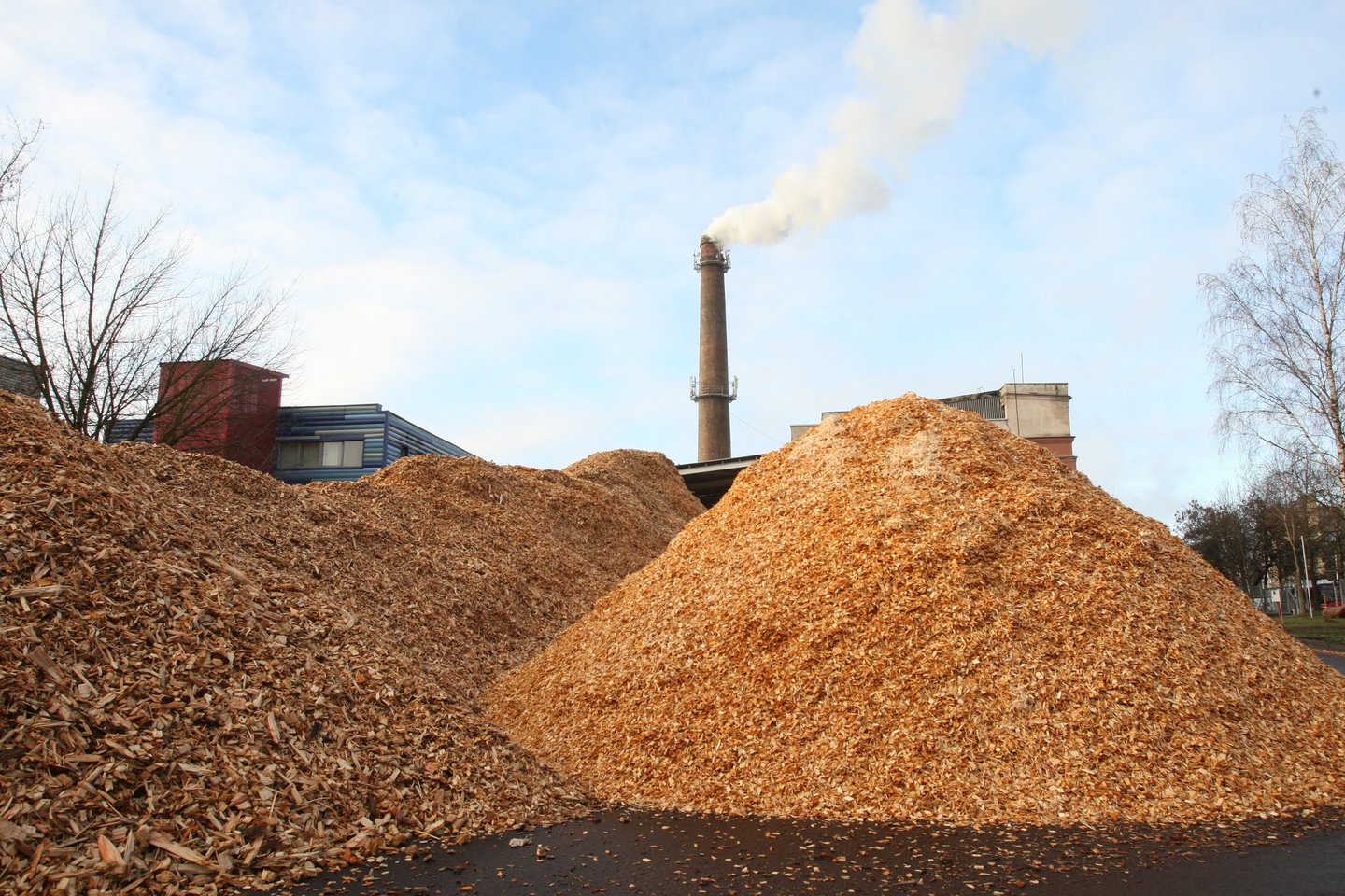 „Pusbroliai“ yra biokuro, miško pirkimo ir apvaliosios medienos gamybos bei pardavimo verslo įmonė, veikianti visoje Lietuvoje.<br> M.Patašiaus asociatyvi nuotr.
