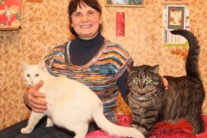 Namus suteikė ir paralyžiuotam, ir letenos netekusiam katinui