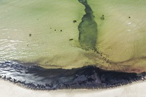 V. Sinkevičius inicijuos Baltijos jūros taršos valymo planą