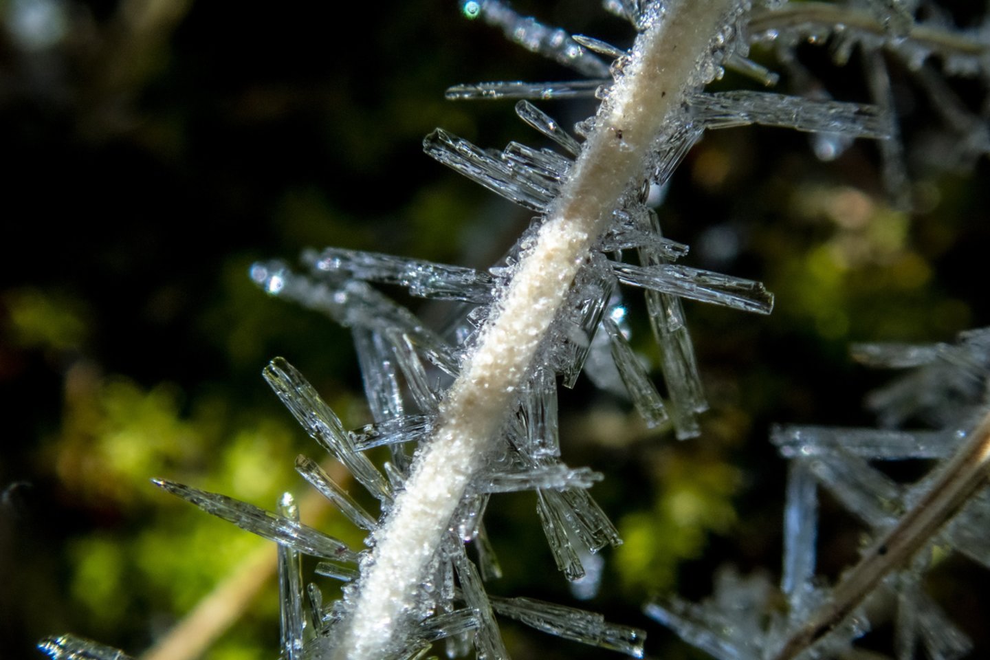 Orai bus saulėti, bet ir šalti.<br>V.Ščiavinsko nuotr.