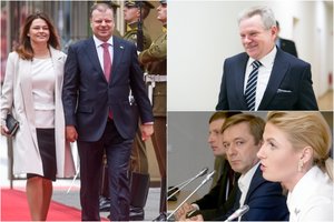 Įvertino valstiečių politikos skaidrumą: žengė lyg su eikliu žirgu, bet labiau primena kuiną