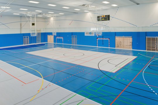 „BG / BORG Graz Liebenau“ sporto salė Austrijoje, dar vadinama „Mėlynąja dėžute“. Architektai Hofrichter-Ritter Architekten.<br>Karl Heinz Putz / archdaily.com nuotr.