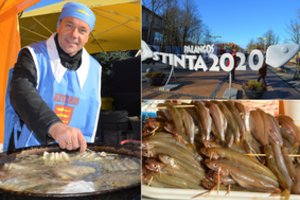 Visi keliai veda į Palangą – prasidėjo tris dienas truksianti Stintų šventė