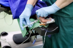 Nyderlandų eutanazijos klinika skelbia apie išaugusį gyvybės nutraukimo prašymų skaičių