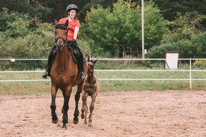 Lietuvoje atsirado raitelė, pasiryžusi prasimušti į paralimpines žaidynes