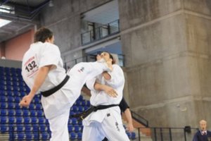 Karatė meistrai išsidalino Lietuvos čempionato medalius