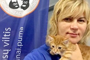 Savanorės nepripranta prie žiaurumo: katės – tarsi gyvos atliekos