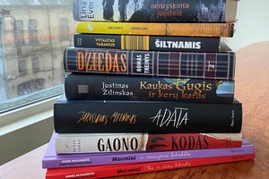 Atrinkta 10 lietuviškų knygų, galinčių tapti kino filmais