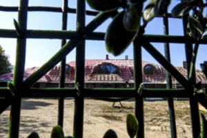  Prasidėjo naujas serialo „Vijūnėlės dvaras“ sezonas – su dar daugiau intrigos