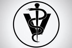 Vilniuje – didžiausias Baltijos šalyse veterinarijos kongresas