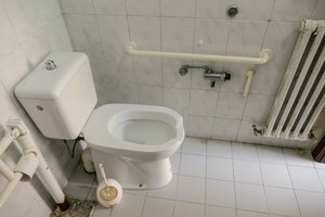 Sunku patikėti, kad tai vyksta šiandien: plungiškė priversta kuopti nevalyvų kaimynų išmatas