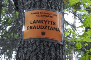 Dėl Punios šilo išsaugojimo – Aplinkos ministerijos pasiūlymas