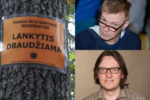 Po Aplinkos ministerijos pareiškimo dėl Punios šilo – griežtas visuomenininkų atsakas