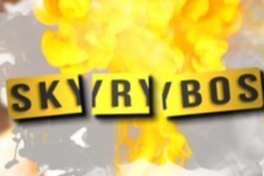 Skyrybos 2020-02-13