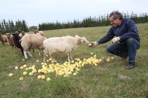 Paramos smulkiems ūkiams užteks ne visiems