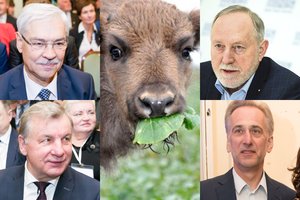 Stumbrės mirtimi pasibaigusioje medžioklėje – įtakingi Seimo nariai ir verslininkai