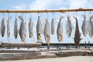 Protėviai valgė sveikesnį maistą? Tokia teorija plyšta į gabalus